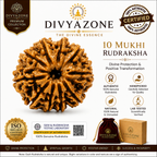 10 Mukhi Rudraksha – Authentic & Natural