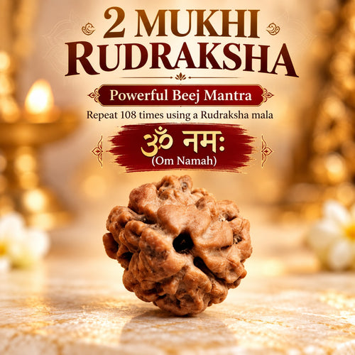 2 Mukhi Rudraksha powerful beej mantra Om Namah and 108 times chanting