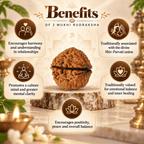 2 Mukhi Rudraksha benefits infographic showing traditional associations with relationships, mental clarity, emotional balance and positivity