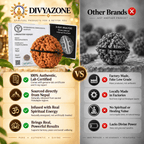 DivyaZone 2 Mukhi Rudraksha authenticity comparison featuring lab certificate, X-ray report and natural Rudraksha bead