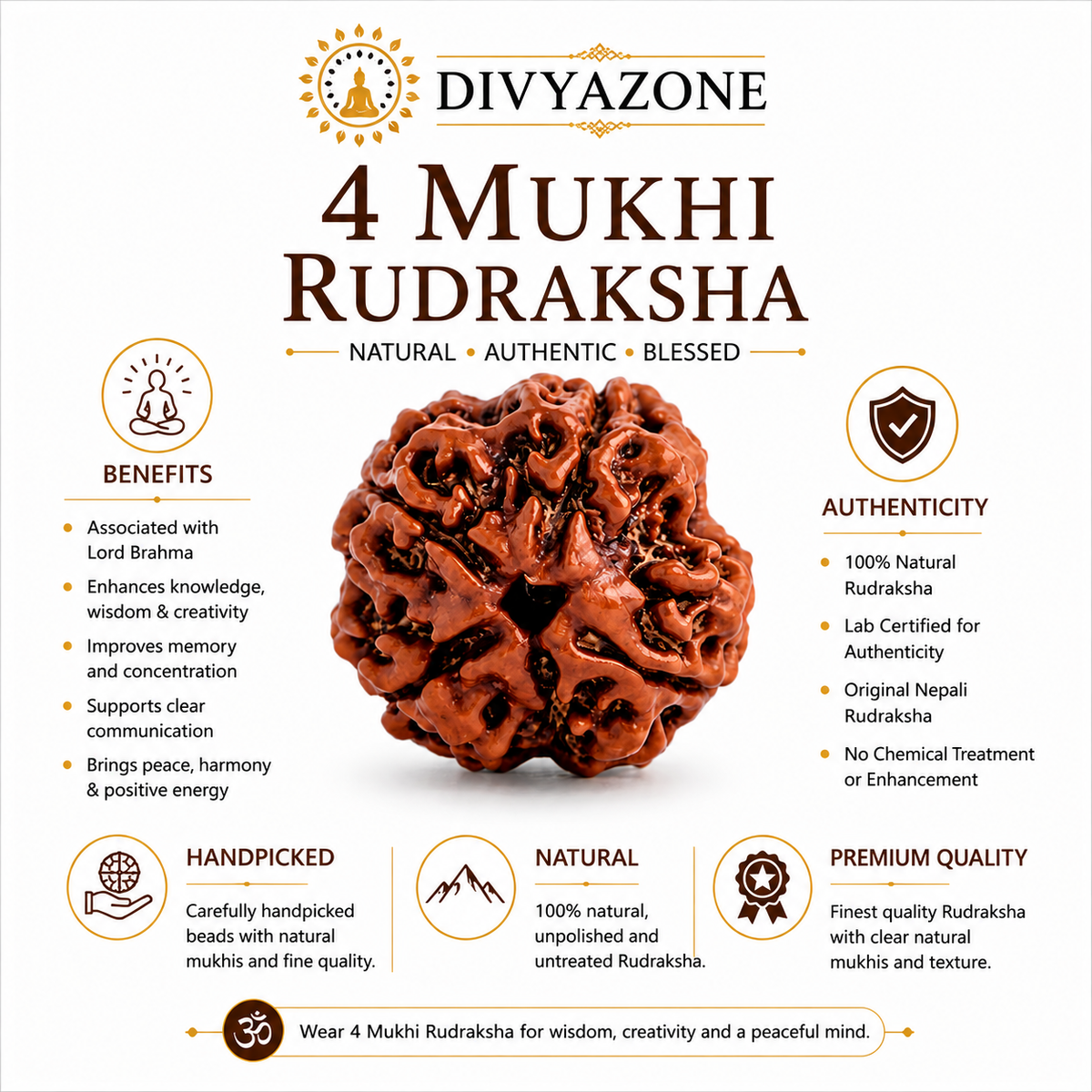 4 Mukhi Rudraksha – Natural and Authentic Rudraksha by DivyaZone