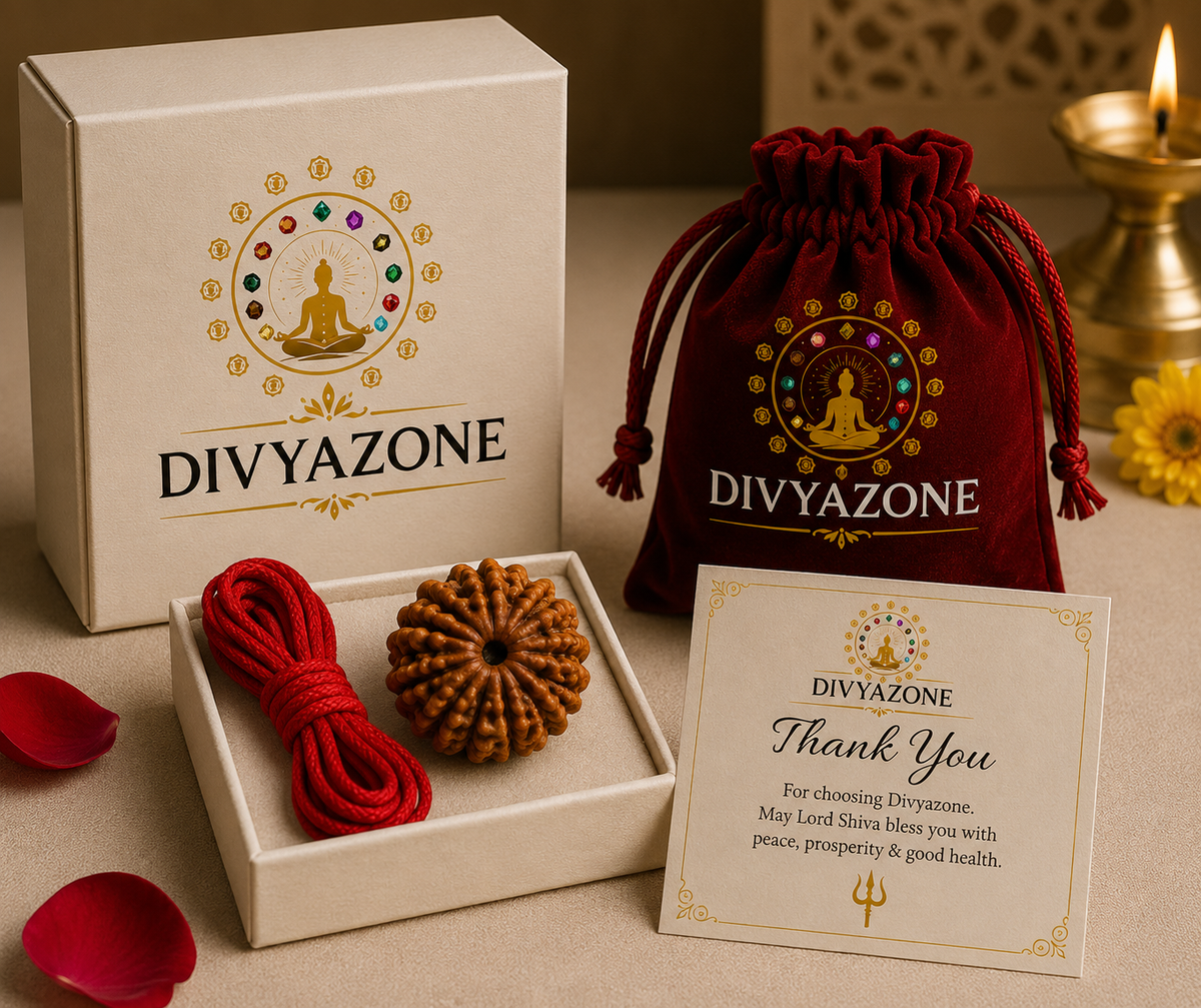 7 Mukhi Nepali Certified Rudraksha BENIFITS HINDI PACKING