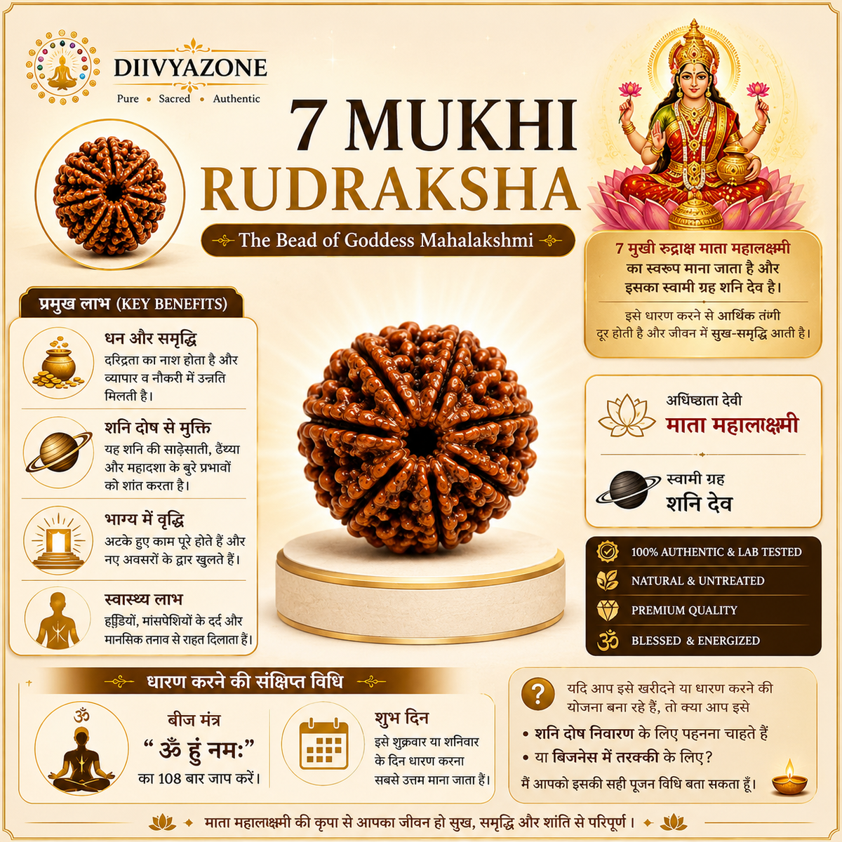 7 Mukhi Rudraksha infographic explaining traditional benefits, Goddess Mahalakshmi, Shani Dev, beej mantra and wearing method | DivyaZone