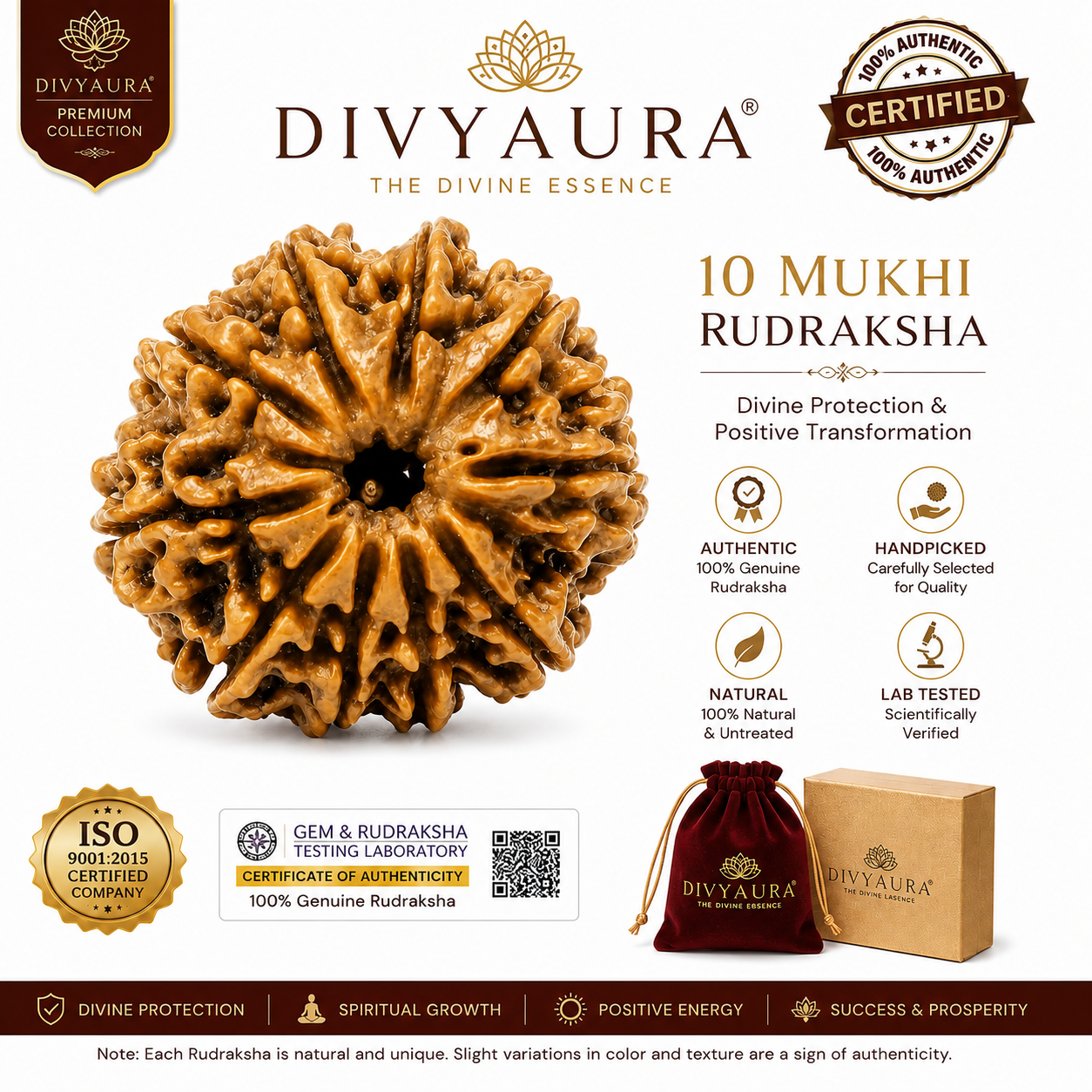 Authentic 10 Mukhi Nepali Rudraksha with Certification by divyaura