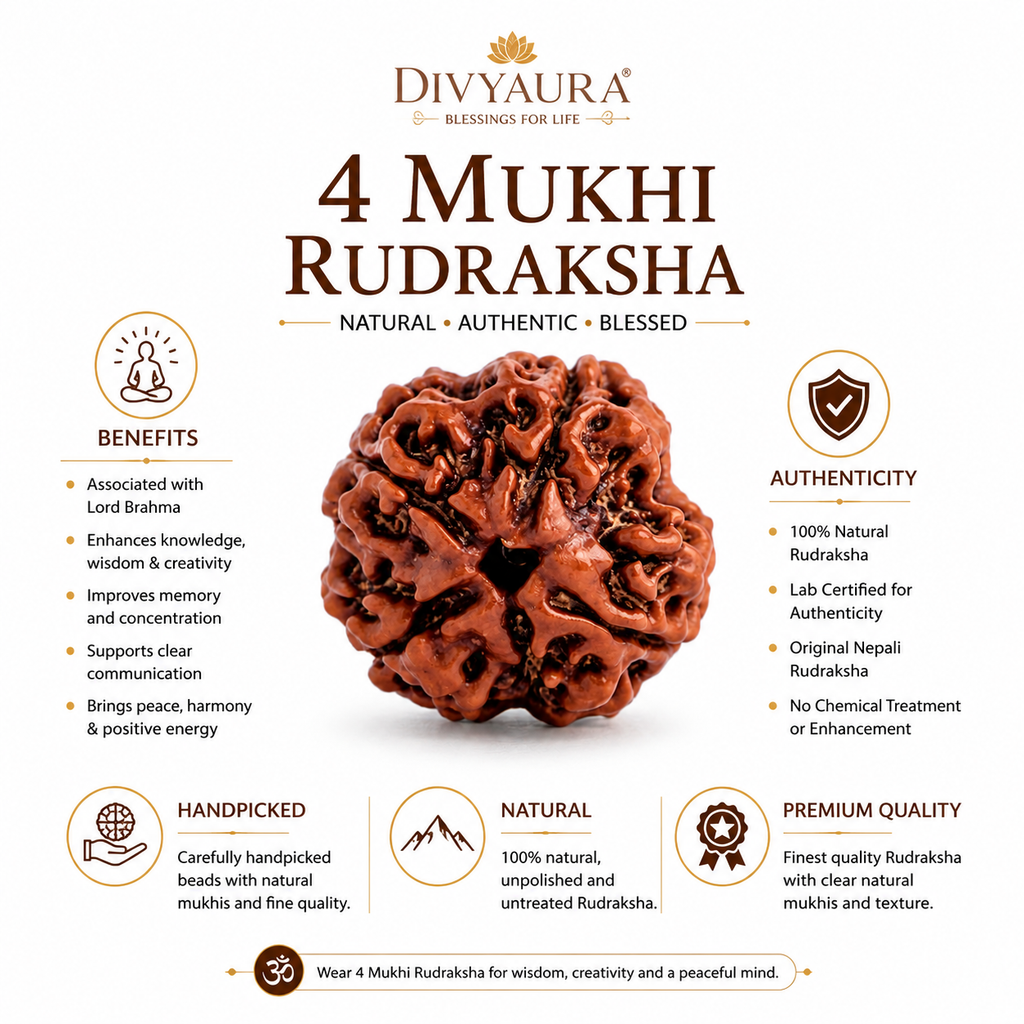 Certified 4 Mukhi Nepali Rudraksha for Wisdom and Knowledge divyaura