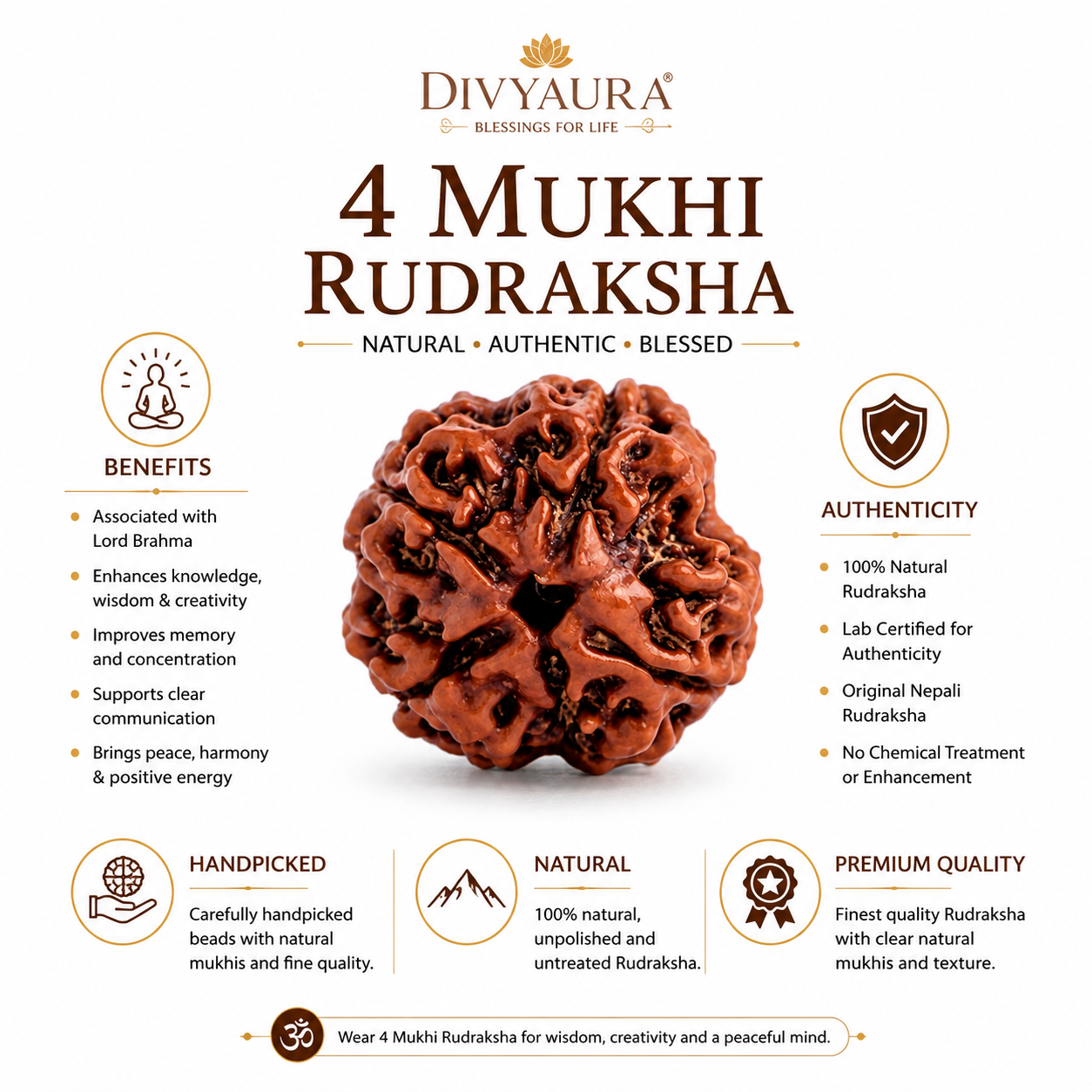 Certified 4 Mukhi Nepali Rudraksha for Wisdom and Knowledge divyaura