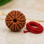 Certified 5 Mukhi Nepali Rudraksha for Peace and Spiritual Growth by divyazone