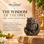 Large Pyrite Owl figurine representing wisdom and prosperity in traditional Indian spiritual beliefs