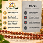 5 Mukhi Rudraksha Mala infographic showing spiritual benefits, bead details and key features