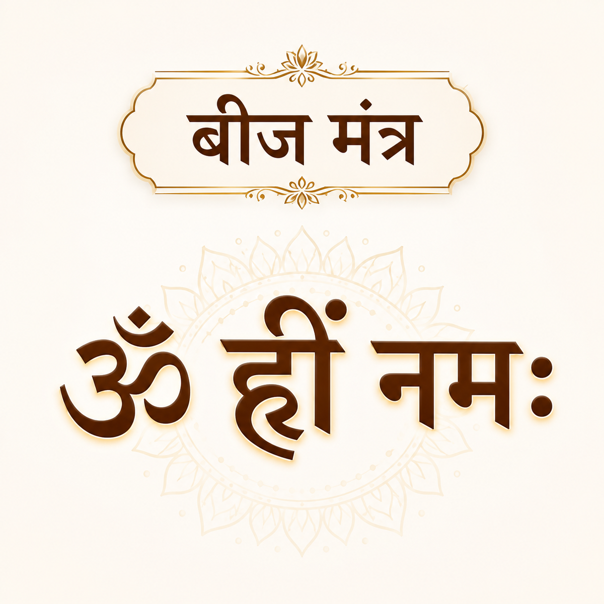 Natural 4 Mukhi Rudraksha for Knowledge, Focus and Spiritual Growth – DivyaZone